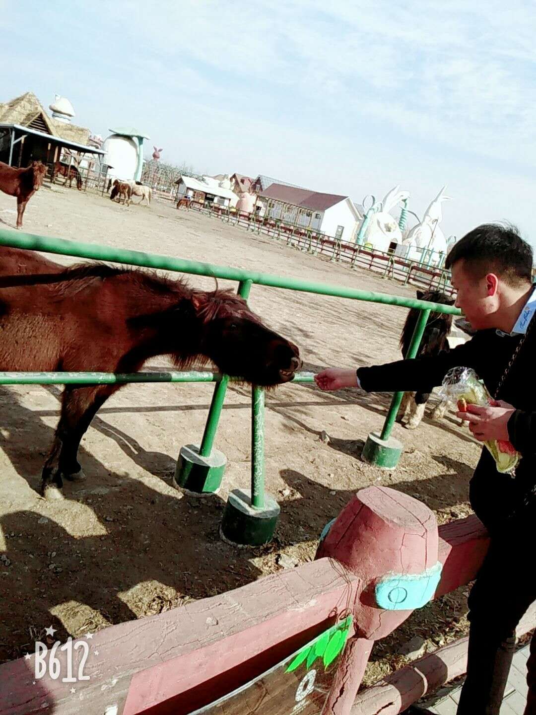 天津光合谷动物园 滑雪 采摘