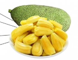 怎么判断菠萝蜜是否成熟 菠萝蜜的核怎么吃有什么功效
