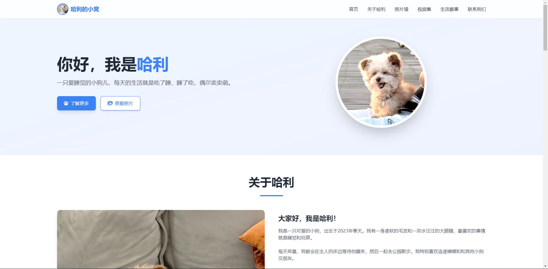 一款纯HTML代码-超好看的萌宠宠物官网-自适应源码免费下载 一款纯HTML代码-超好看的萌宠宠物官网-自适应源码免费下载